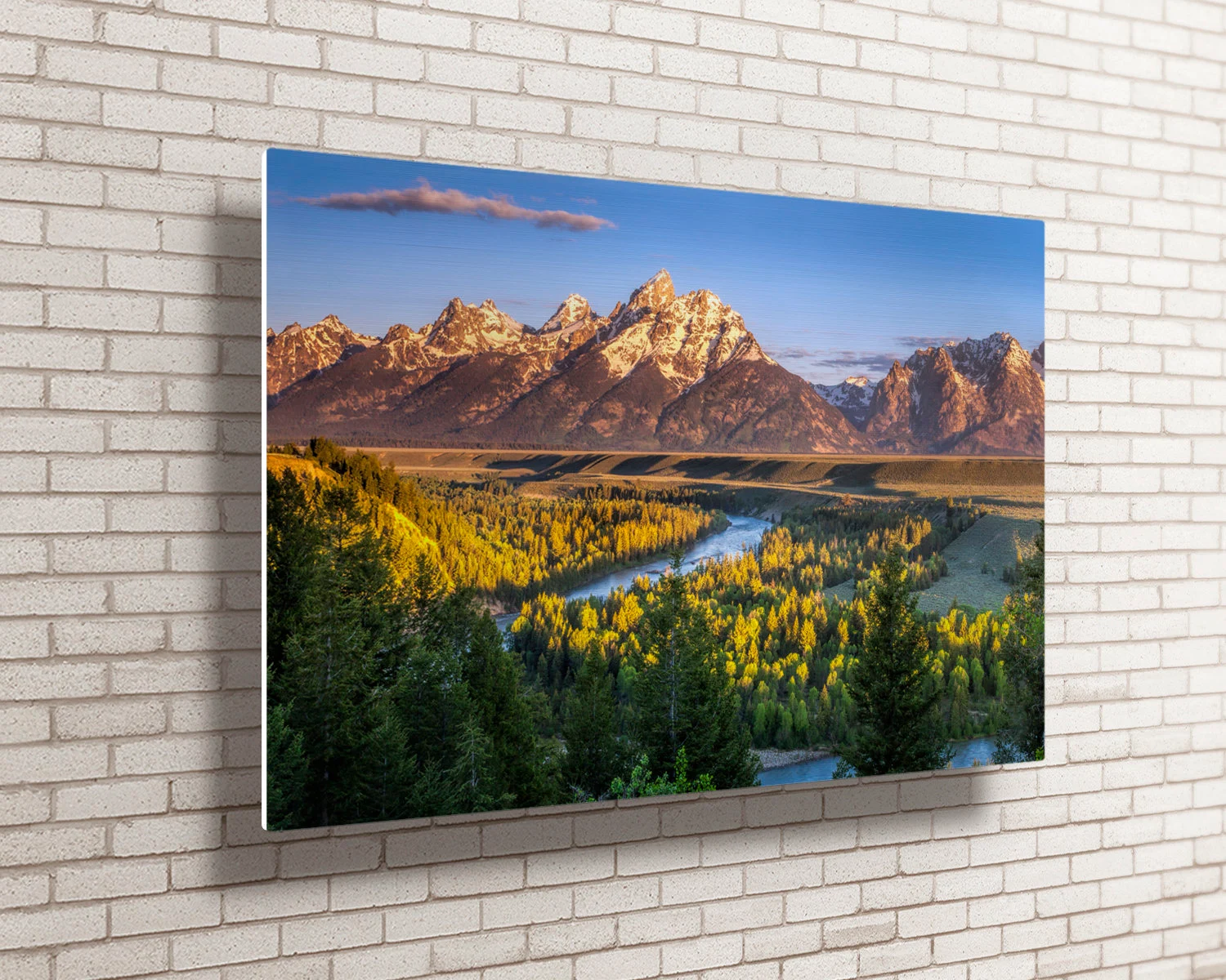 Metal Print (16x24)